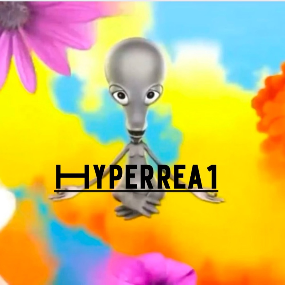 Meet your Posher, Kamryn